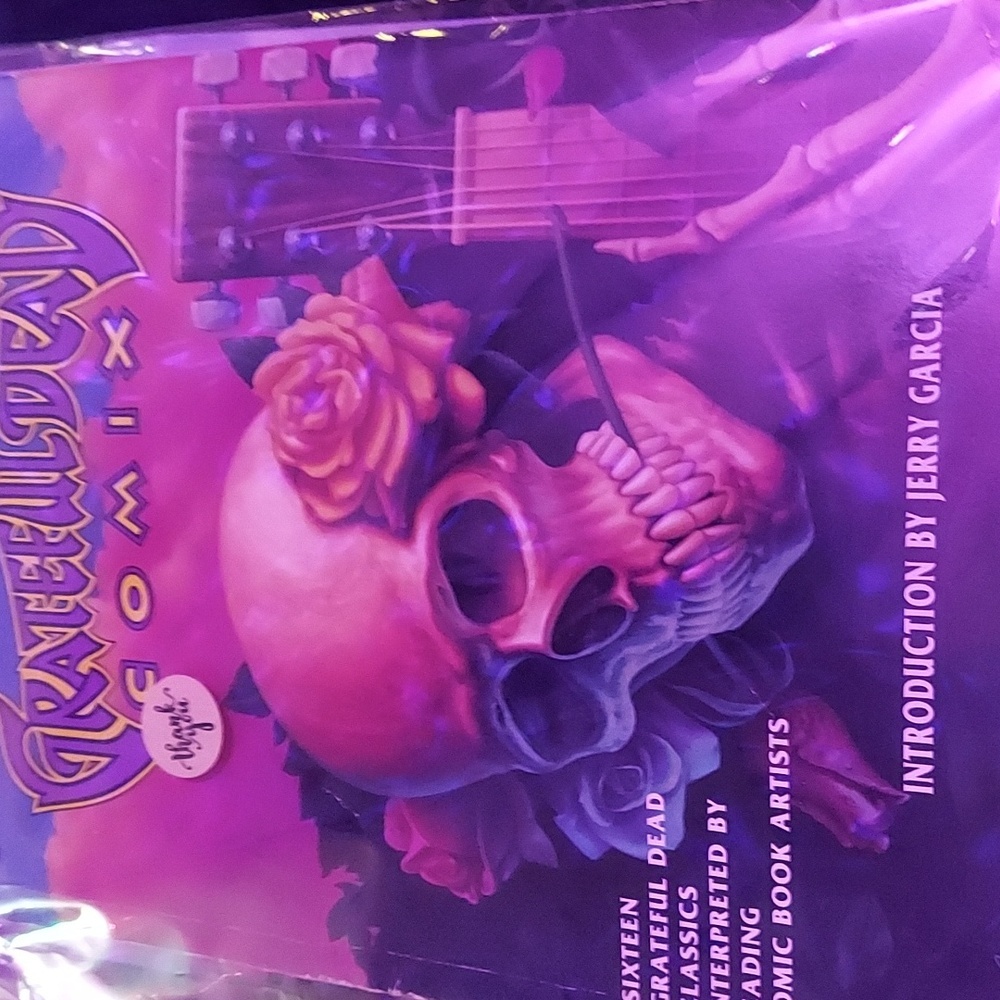 Rare grateful dead book bundle! Comics from '91 and a massive lyric guide - Picture 4 of 5